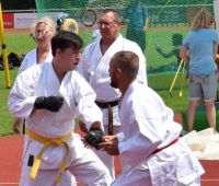 Bilder_2019 (6)